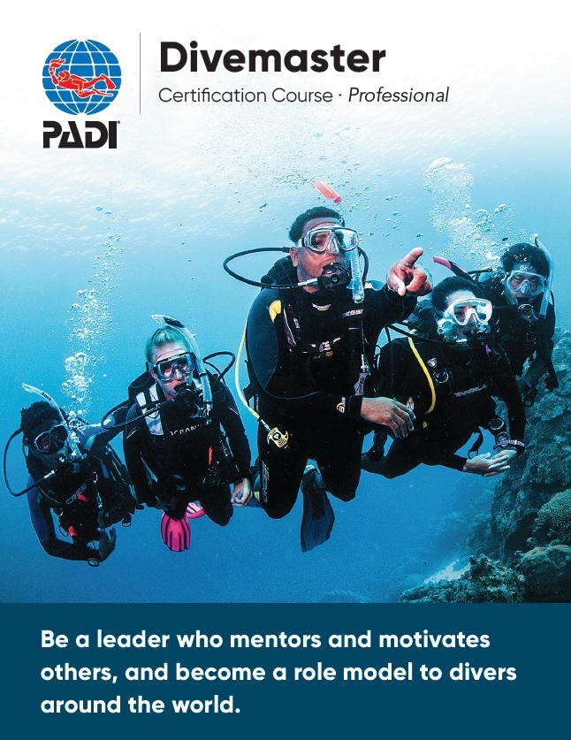 Divemaster certification course Professional