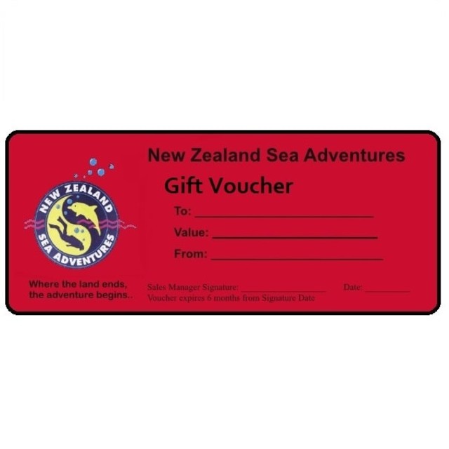 Wellington Scuba Diving-Vouchers