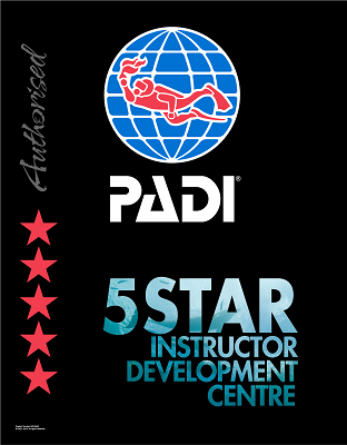 Wellington PADI 5 Star Instructor Development Dive Centre NZ