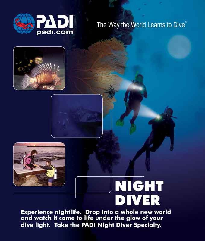 Wellington PADI Night Diving Diver Specialty SCUBA Diving NZ