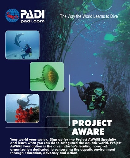 Wellington-dive-course-padi-Project-AWARE-Specialty-min